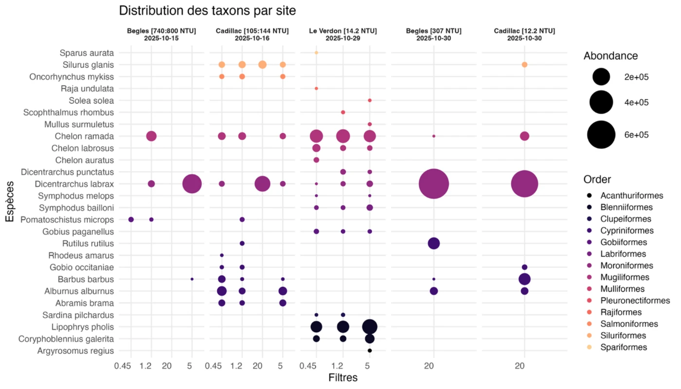 Figure 2 du rapport : espèces détectées en lecture courte, par site, turbidité et taille de filtre ; la taille des cercles suit l’abondance relative des séquences.